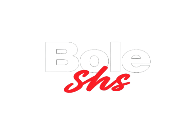 Bole shs logo